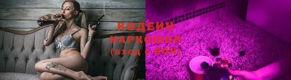 твердый Богданович