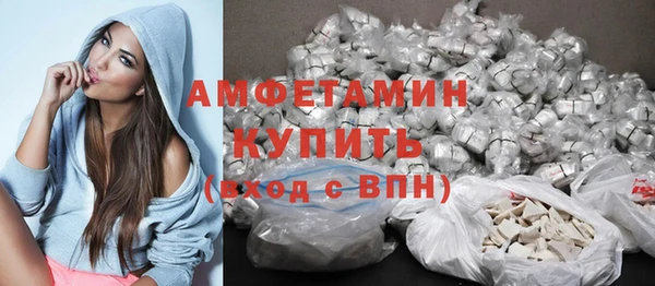 твердый Богданович