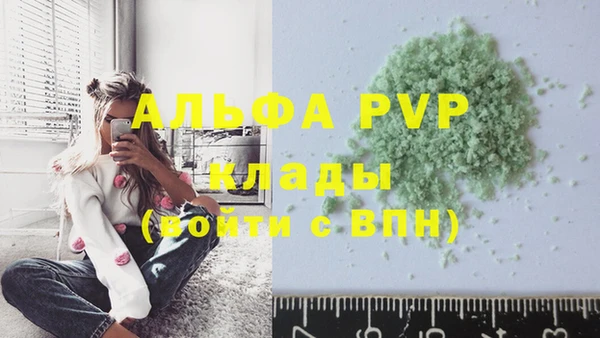 твердый Богданович